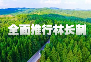 环球360 - 更专业的玩球问答网站